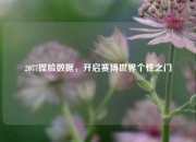 2077捏脸数据，开启赛博世界个性之门