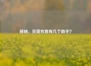 探秘，贝塔究竟有几个助手？