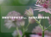 探秘可下载单机手游App，开启单机游戏新体验