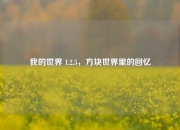 我的世界 1.2.5，方块世界里的回忆