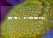 篮球经理 2，开启专属篮球管理传奇