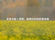 无双大蛇 Z 存档，游戏记忆的珍贵宝库