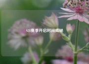 S21赛季开启时间揭秘