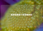 需警惕魔窟下载潜藏风险