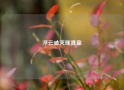 浮云破灭现真章