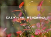 实况足球 2012 攻略，畅享绿茵巅峰对决