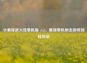 小勇穿越火线单机版 v1.2，展现单机射击游戏别样风采