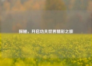 探秘，开启功夫世界精彩之旅