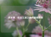 逆水寒，站在江湖之巅的最高传奇