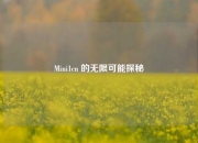 Mini1cn 的无限可能探秘