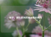 射手，团队胜利的输出核心利刃