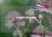 DNF刷钱攻略全揭秘