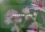 韩国电竞劲旅，DK战队