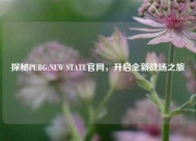 探秘PUBG:NEW STATE官网，开启全新战场之旅