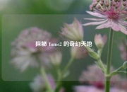 探秘 Yume2 的奇幻天地