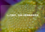 Tera弓箭手，远程之魅铸就战场传奇