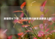 黑猫警长下载，开启经典动画重温便捷之旅