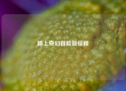 踏上奇幻冒险新征程