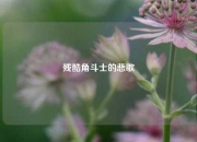 残酷角斗士的悲歌