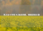 龙之谷十字军 PK 加点攻略，铸就战场王者