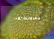 ADC符文搭配深度全解析