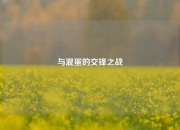 与混蛋的交锋之战