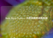 Battle Royale Trainer，大逃杀游戏训练利器