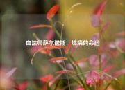 血法师萨尔诺斯，燃烧的命运