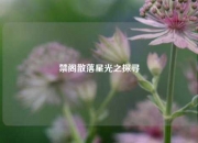 禁阁散落星光之探寻