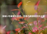 探秘13号星期五游戏，恐怖与刺激的交织之旅