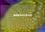 蝴蝶精开启幻梦之约