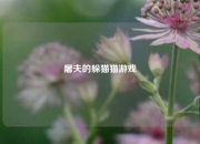 屠夫的躲猫猫游戏