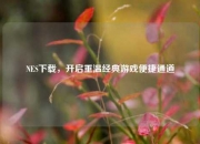 NES下载，开启重温经典游戏便捷通道