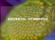 抵制涩里番污站，守护清朗网络空间