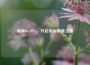 探秘We TPA，开启未知探索之旅
