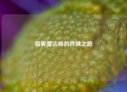 暗黑魔法师的救赎之路