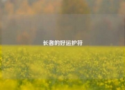 长者的好运护符