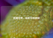 修魔世界，暗影中的救赎