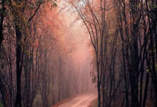 侠盗猎魔2图文攻略，畅玩暗黑世界指南