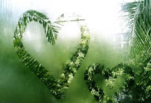 侠盗猎魔2图文攻略，畅玩暗黑世界指南