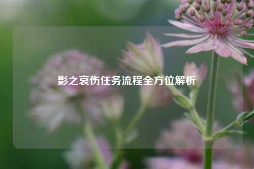 影之哀伤任务流程全方位解析