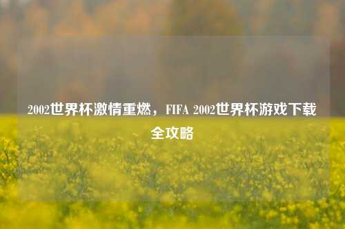 2002世界杯激情重燃，FIFA 2002世界杯游戏下载全攻略