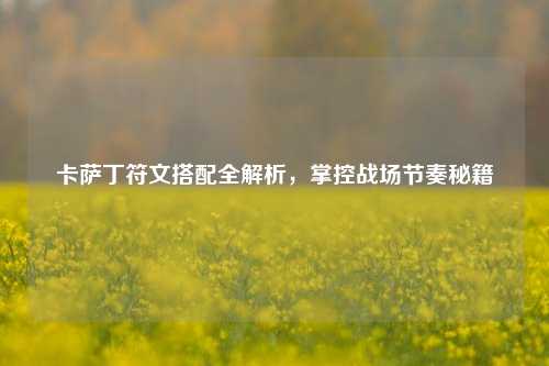 卡萨丁符文搭配全解析，掌控战场节奏秘籍