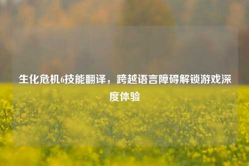 生化危机6技能翻译，跨越语言障碍解锁游戏深度体验