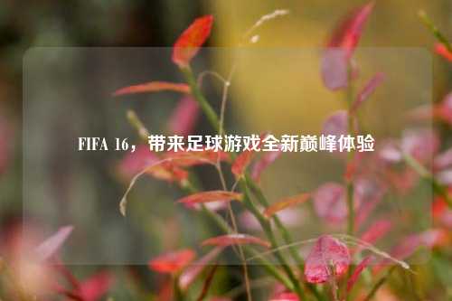 FIFA 16，带来足球游戏全新巅峰体验