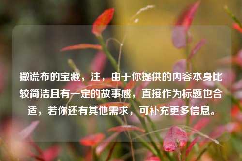 撒谎布的宝藏，注，由于你提供的内容本身比较简洁且有一定的故事感，直接作为标题也合适，若你还有其他需求，可补充更多信息。