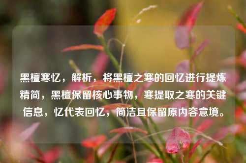 黑檀寒忆，解析，将黑檀之寒的回忆进行提炼精简，黑檀保留核心事物，寒提取之寒的关键信息，忆代表回忆，简洁且保留原内容意境。