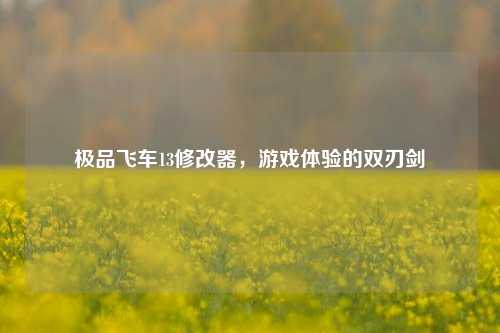 极品飞车13修改器，游戏体验的双刃剑