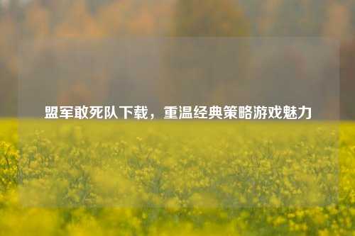 盟军敢死队下载，重温经典策略游戏魅力
