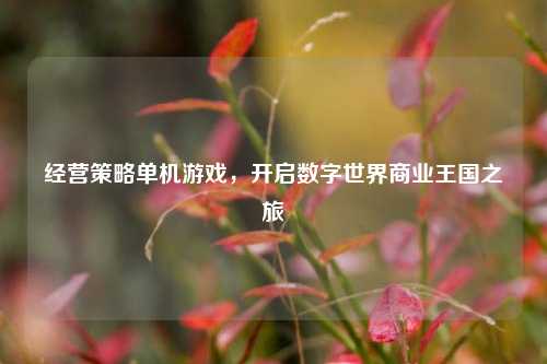 经营策略单机游戏，开启数字世界商业王国之旅